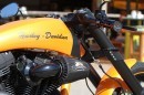 Harley-Davidson RS Lambo