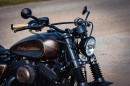 Harley-Davidson Rusty Rose