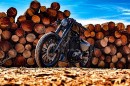 Harley-Davidson Sportster Black
