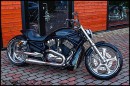 Harley-Davidson VRSCA Venom