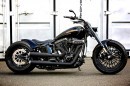 Harley-Davidson Ole Bull
