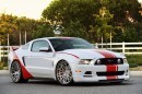2014 Ford Mustang US Air Force Thunderbirds Edition