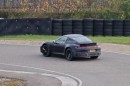 High-Riding Porsche 911 "Safari" Test Car