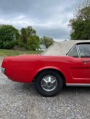 1964 1/2 Mustang barn find
