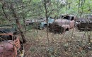 abandoned Chevrolet Advanced Design trucks
