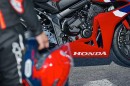 Honda reveals 2024 and 2025 CB models, plus the Monkey
