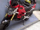 Ducatized Honda Grom