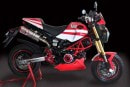 Ducatized Honda Grom