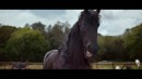 Horses Laughing in Volkswagen commercial