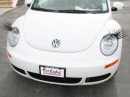 CarLashes on Beetle