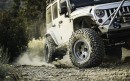 BF Goodrich Mud-Terrain Tire