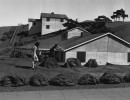 WW II Boeing Fake Neighborhood