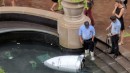 Knightscope K5 autonomous robot "kills itself" in fountain in Washington, D.C.