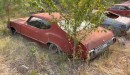 abandoned muscle cars in a junkyard