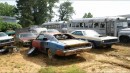 Huge Mopar junkyard in North Carolina