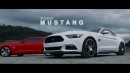 Hurst Elite Series Ford Mustang