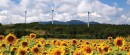 Renewable Energy for Japan