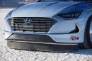 Hyundai Nexo, Sonata record attempt
