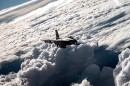 F-16 Fighting Falcon over Nevada, August 2022