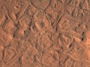 Polygons in the Elysium Planitia region of Mars