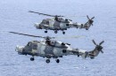 Wildcats can carry up to 20 laser-sensor missiles