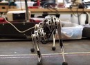 MIT Mini Cheetah robot
