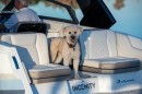 Ingenity 23E electric day-boat
