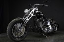 Harley-Davidson Hi Lows