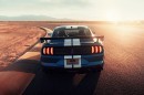 Ford Mustang's many faces