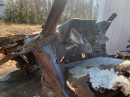 1966 Ford Mustang rust bucket