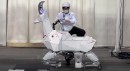 This is Bex, a goat-shaped robot from Kawasaki that can walk and roll on wheels, depending on what you need it for