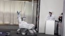 This is Bex, a goat-shaped robot from Kawasaki that can walk and roll on wheels, depending on what you need it for