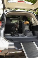 Nissan Dog Pack