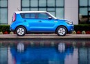 Kia Soul Hamsters Were Cute, Sexy and Fast, Now They're Gone