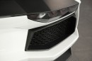 Lamborghini Aventador Carbon Fiber Parts by Capristo