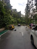 Lamborghini Aventador Singapore Rollover Crash