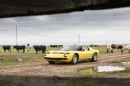 50 YEARS OF THE MIURA: the bull breeding farm that started it all