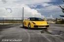 Lamborghini Gallardo Spyder on Concavo Wheels