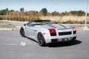 Lamborghini Gallardo Spyder on PUR Wheels