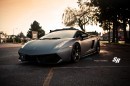 Lamborghini Gallardo SR Project Limitless