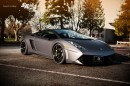 Lamborghini Gallardo SR Project Limitless