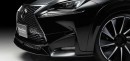 Lexus NX Black Bison Wald International