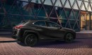 2021 Lexus UX 250h with Black Line Special Edition package