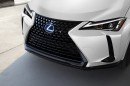 2021 Lexus UX 250h with Black Line Special Edition package