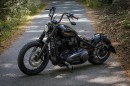 Harley-Davidson Cruisin’ Joe