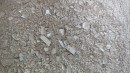 Magment Concrete and Ferrite