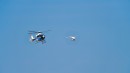 DLR Is Researching Drone Applications in Several Sectors