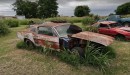 1967 Ford Mustang yard find