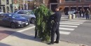 Man dressed as tree gets arrested in Portland, Maine