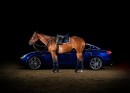 Maserati Luxury Polo Horse Saddle Is a Thing of Unique Beauty